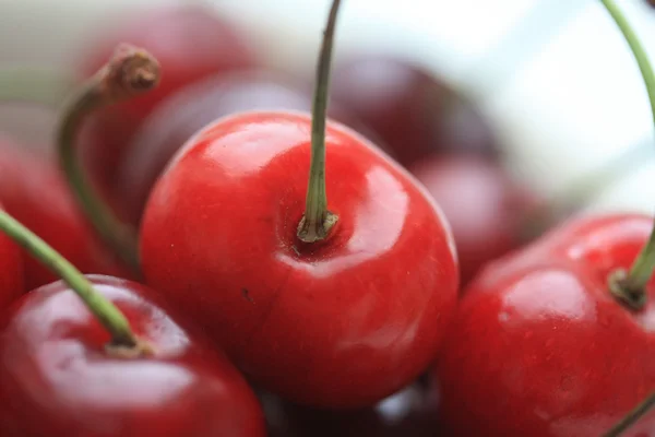 Red cherry close up — Stock Photo, Image