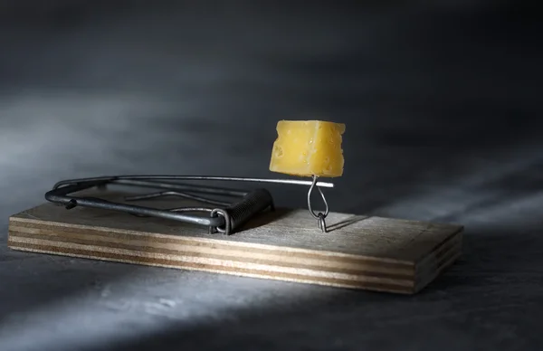 Mousestrap med ost — Stockfoto