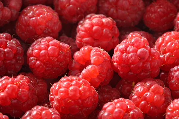 stock image Fresh raspberry background