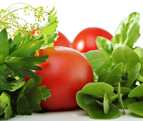 Tomates y hierbas — Foto de Stock