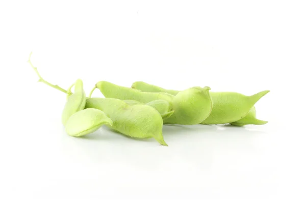 Bean pods. — Stock Photo, Image