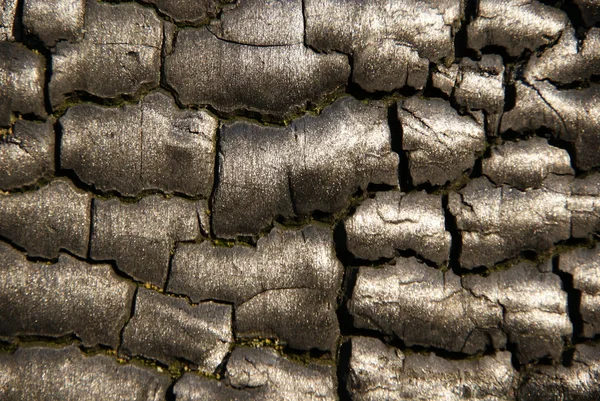 stock image Closeup of burnt bark - background