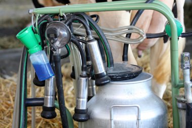 Milking machines clipart