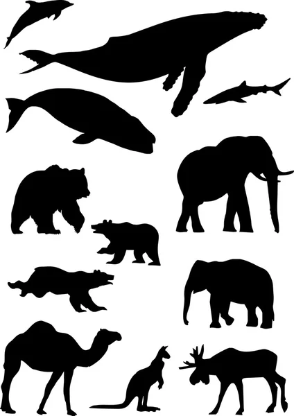 Des animaux sauvages. Collection vectorielle silhouette — Image vectorielle