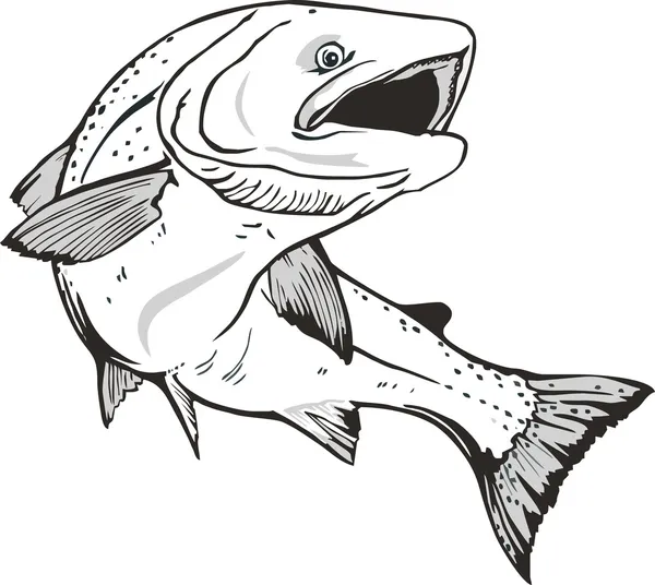 Pesce salmone .Trota — Vettoriale Stock