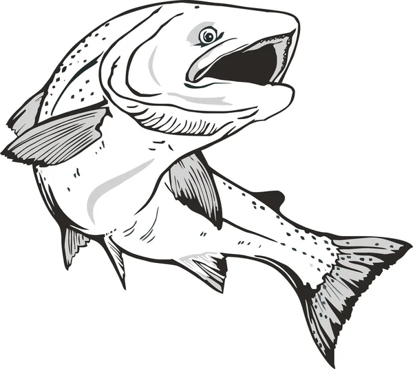Vis zalm .trout — Stockvector
