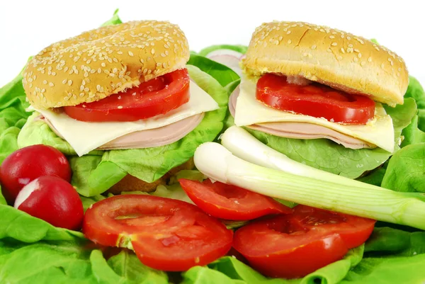 Sandwich et salade — Photo