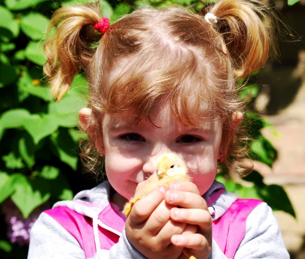 Little girl with chicken — Stock Photo, Image