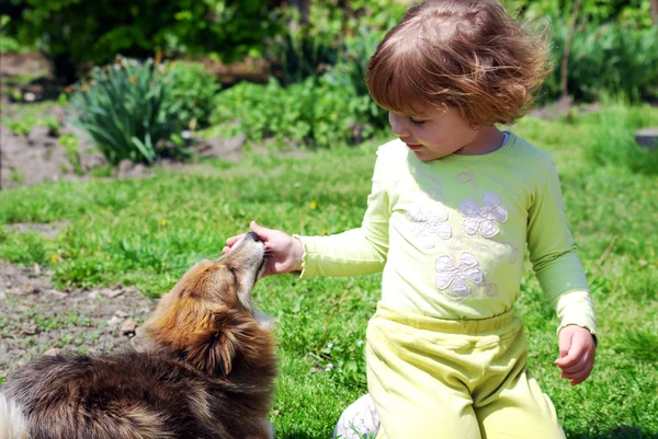 애완 동물 강아지와 어린 소녀 — 스톡 사진