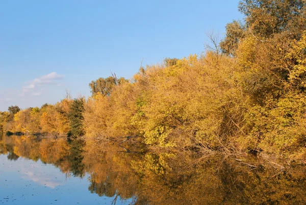 Rzeka jesień kolorowy — Zdjęcie stockowe
