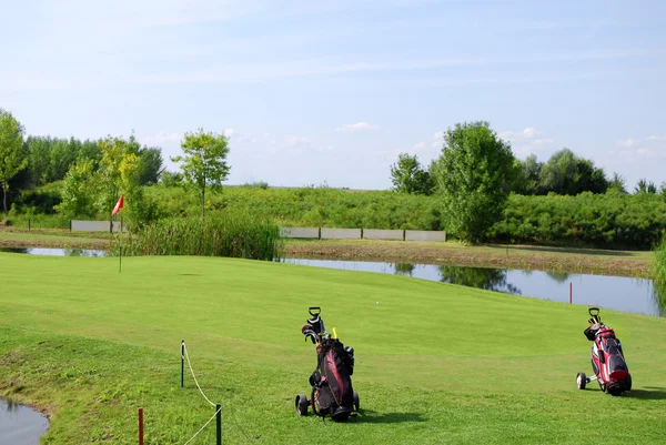 Két golf táska Golf mező — Stock Fotó