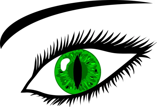 Grünes Auge mit Wimpern - tierische Pupille — Stockfoto