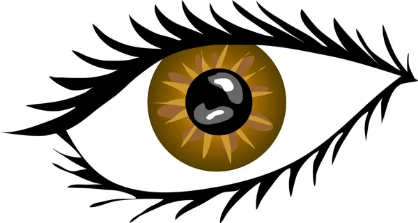 Braunes Auge mit Wimpern — Stockfoto