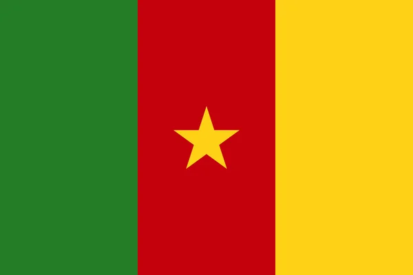 National Flag Cameroon — Stock Photo, Image