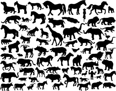 Vector animal clipart