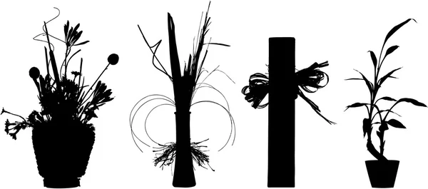 Krukväxter — Stock vektor