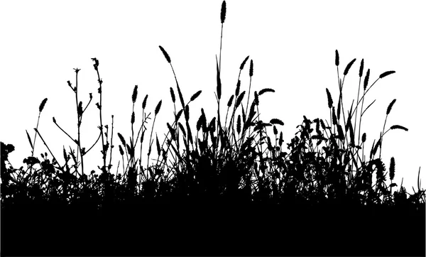 Sihluettes de plantes — Image vectorielle