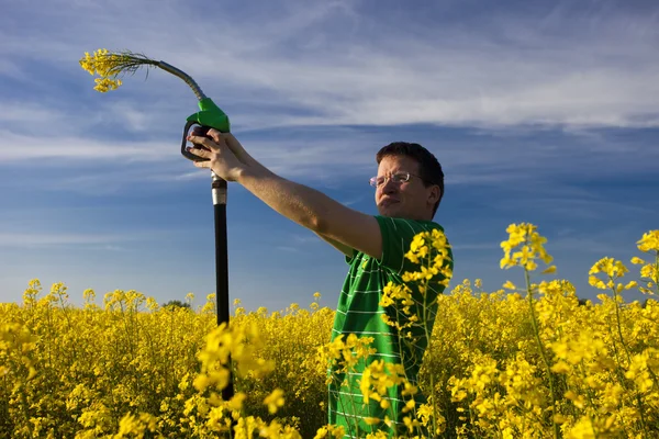 stock image Fuel flowers