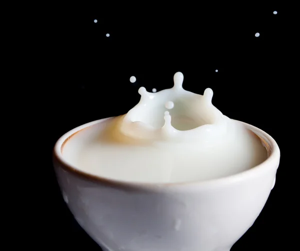 Splash mleka — Zdjęcie stockowe