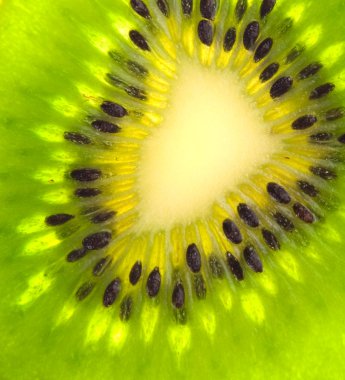 Kiwi slice close-up background clipart