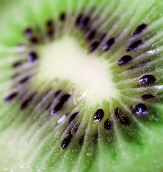 Kiwi slice close-up fundo — Fotografia de Stock