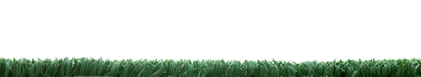 Штучна трава — стокове фото