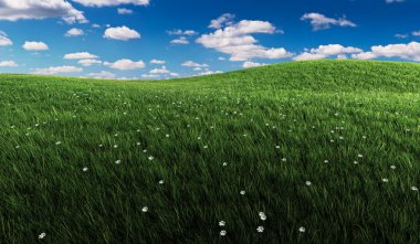 Green grass and cloudy sky clipart