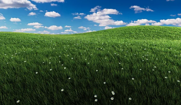 Yeşil çimenler ve bulutlu gökyüzü — Stok fotoğraf