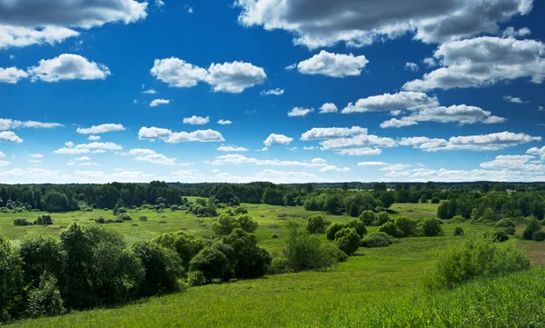 stock image Summer Landscape