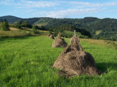 haystacks