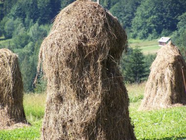 haystacks