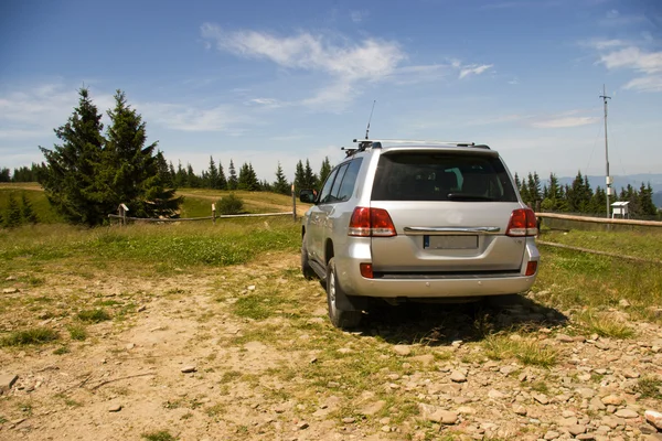 stock image The car