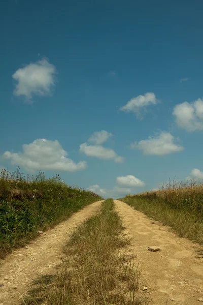 stock image Road in the field