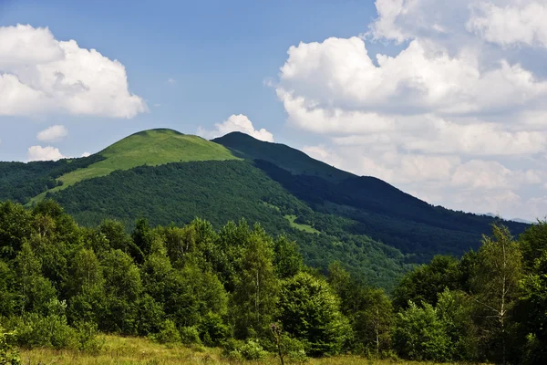 Mountain meadows på toppen — Stockfoto