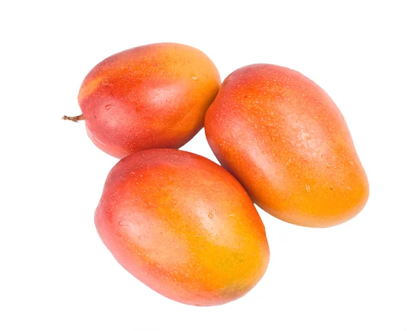 Три спелых фрукта манго — стоковое фото