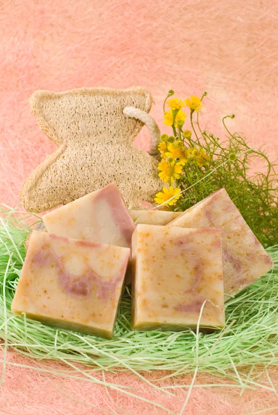 Homemade soap, decoration with flowers — Stock Photo, Image