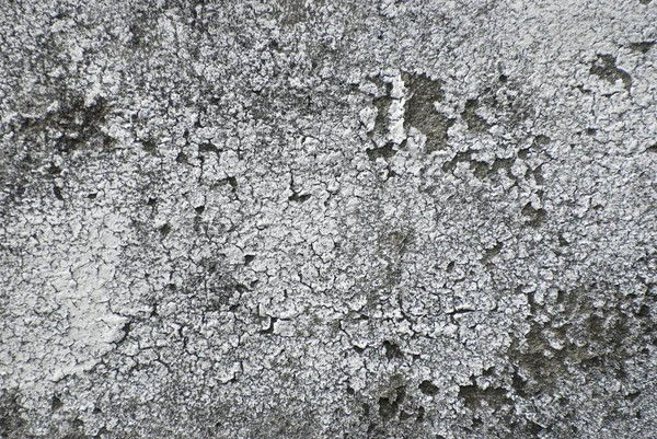 Gray aged grunge wall — Stock Photo, Image