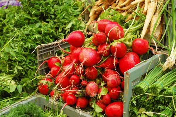 Close-up de legumes no stand de mercado — Fotografia de Stock