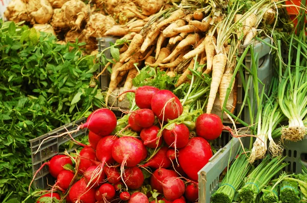 Primer plano de las hortalizas en el mercado —  Fotos de Stock