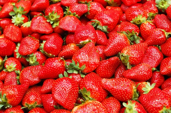 草莓的密闭 — 图库照片