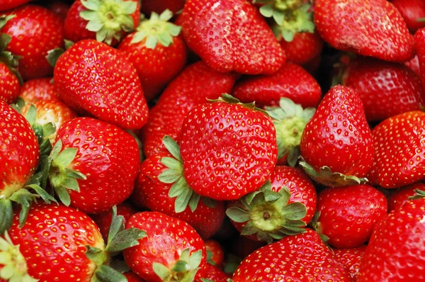 Close-up van aardbeien — Stockfoto
