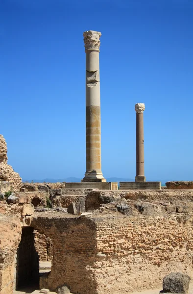 As ruínas de Cartago — Fotografia de Stock
