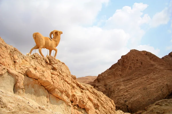 Monument van schapen, sahara — Stockfoto