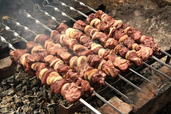 Pork kebab with onion and spice — Stock Photo, Image