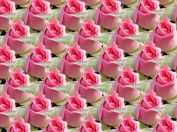 粉红色玫瑰纹理 — 图库照片