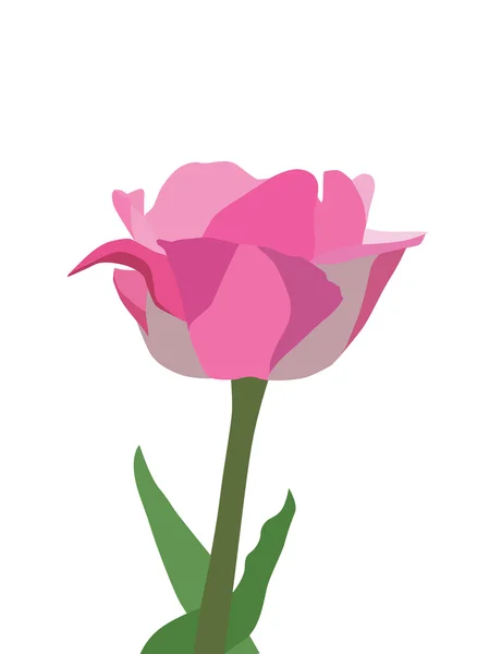 Tulipano rosso — Vettoriale Stock