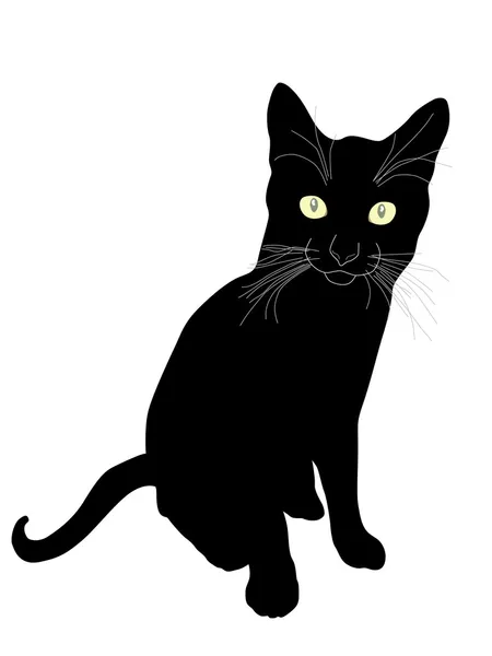 Katzensilhouette — Stockvektor