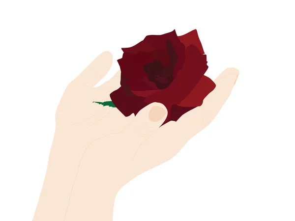 Руки з троянди — стоковий вектор