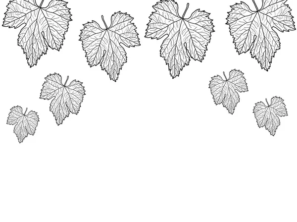 Szőlő levelek — Stock Vector