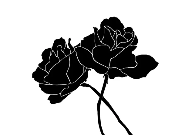 Silhouette Rose — Vettoriale Stock